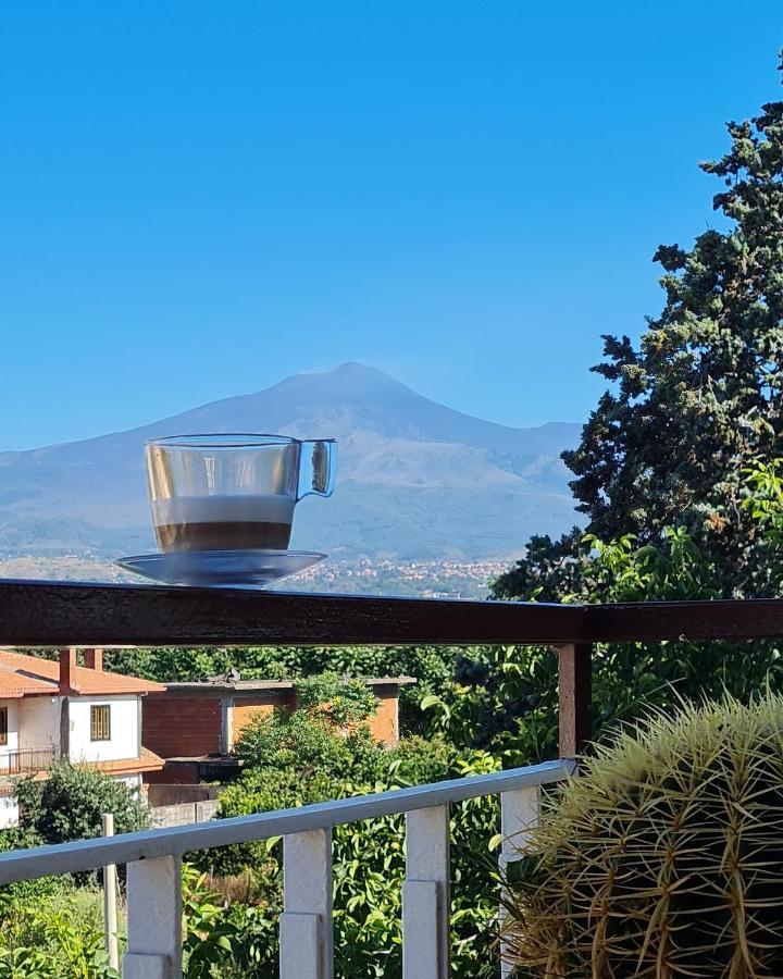La Punta Otel San Giovanni La Punta Dış mekan fotoğraf
